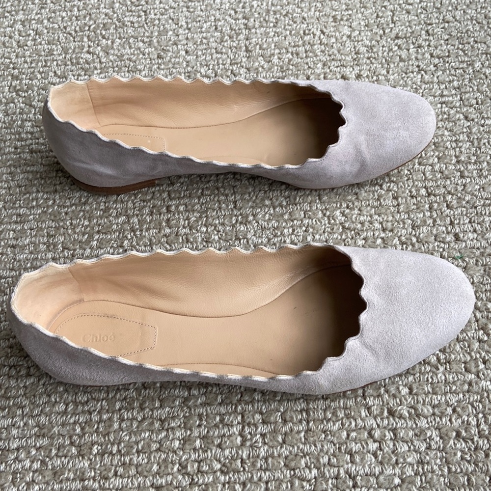 Chloe Lauren ballet flats shoes in pale gray suede